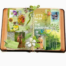 Summer Nature Journal