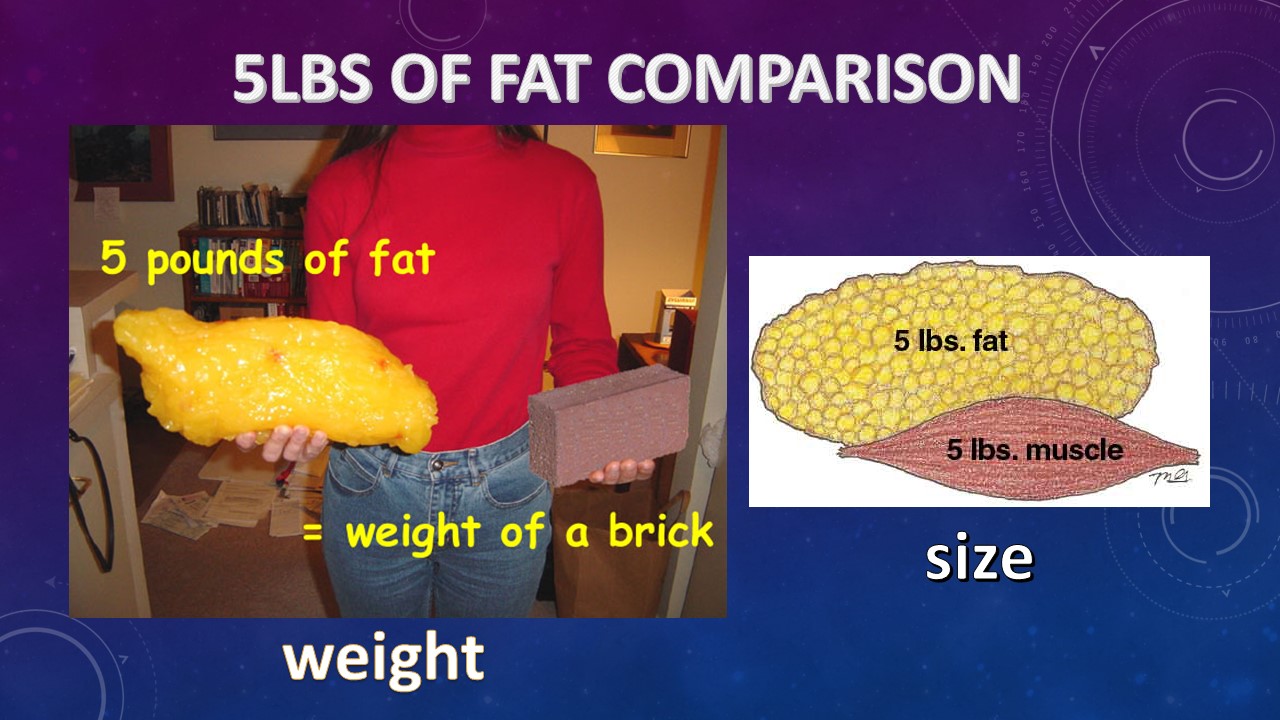 5 pounds of Fat comparison