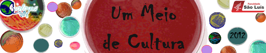 Um Meio de Cultura
