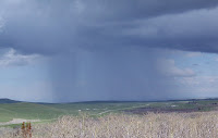 Big Sky Rain