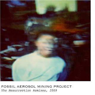 Fossil Aerosol Mining Project Simulated Mutation Fossil Aerosol Mining Project Simulated Mutation