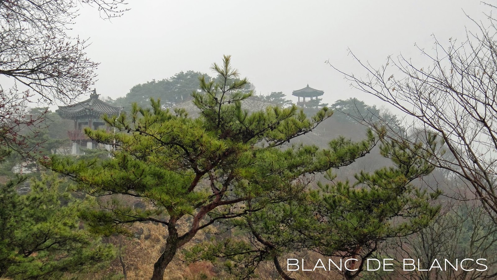 Etelä-Korea Etelä-Korea - www.blancdeblancs.fi