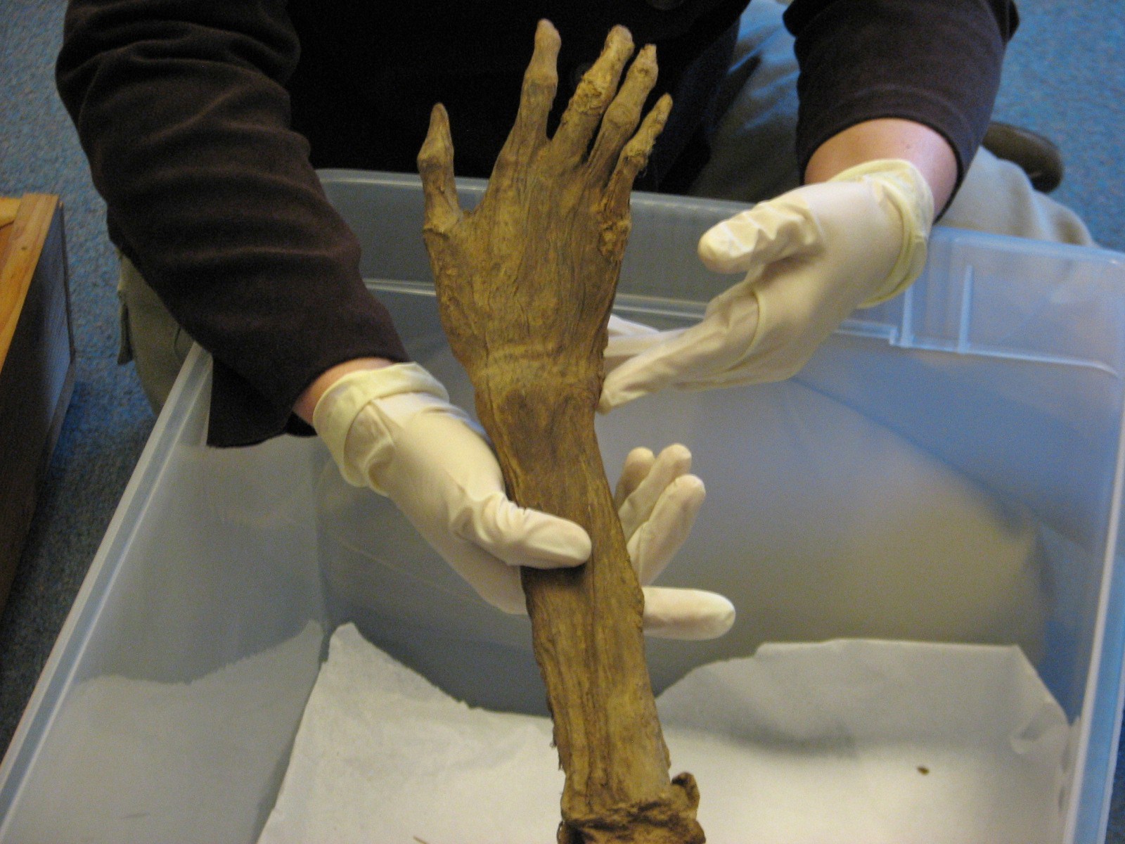 Guardian of the Artifacts Handling Artifacts