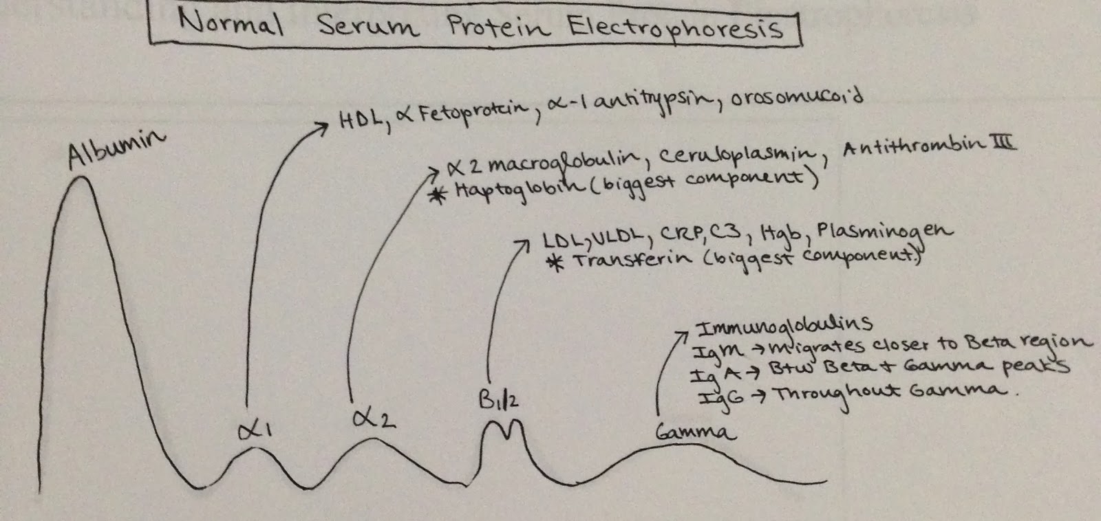 Hospitalist Case Studies 2014