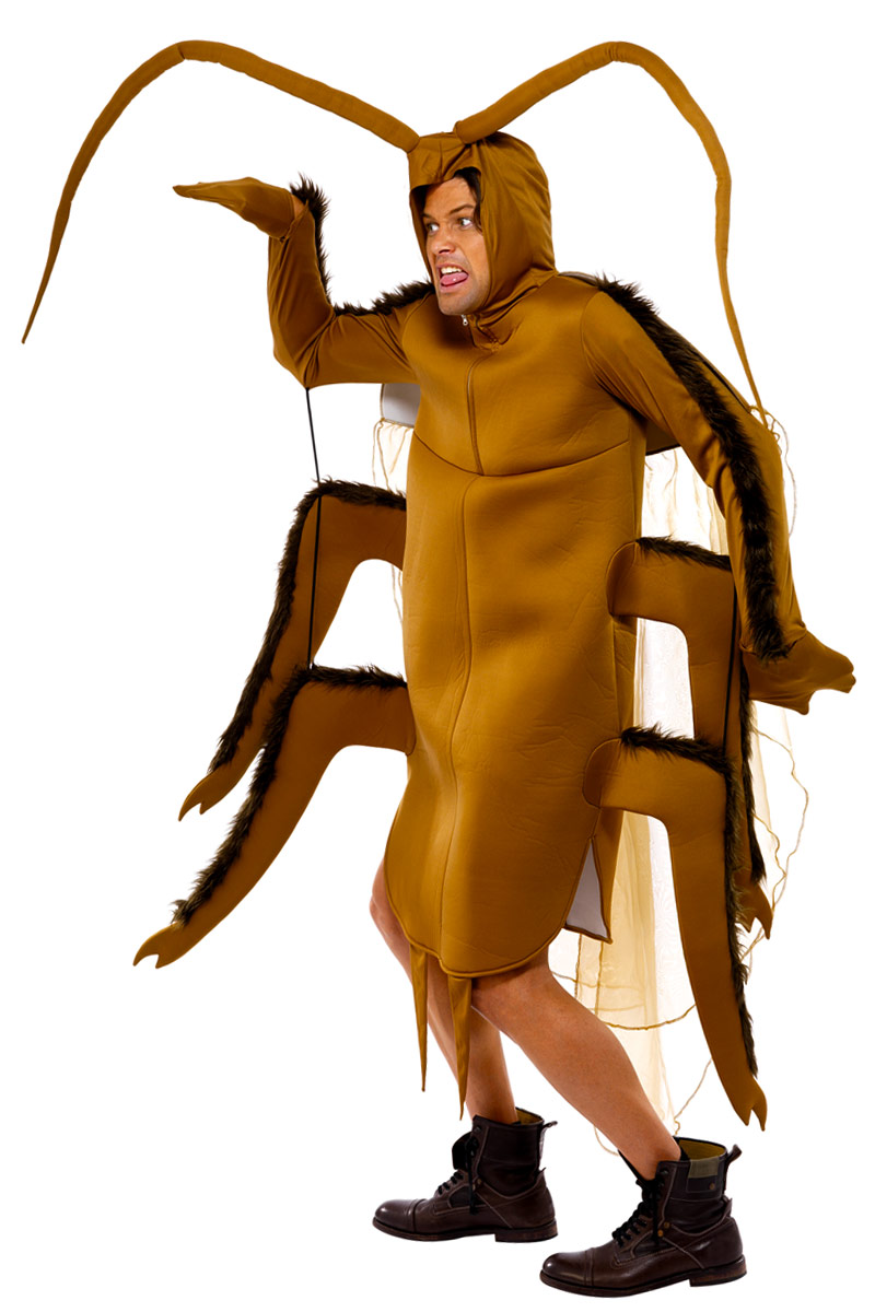A Cockroach