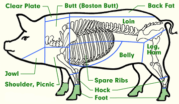 Can My Dog Eat Baby Back Rib Bones Can My Dog Eat Baby Back Rib Bones
