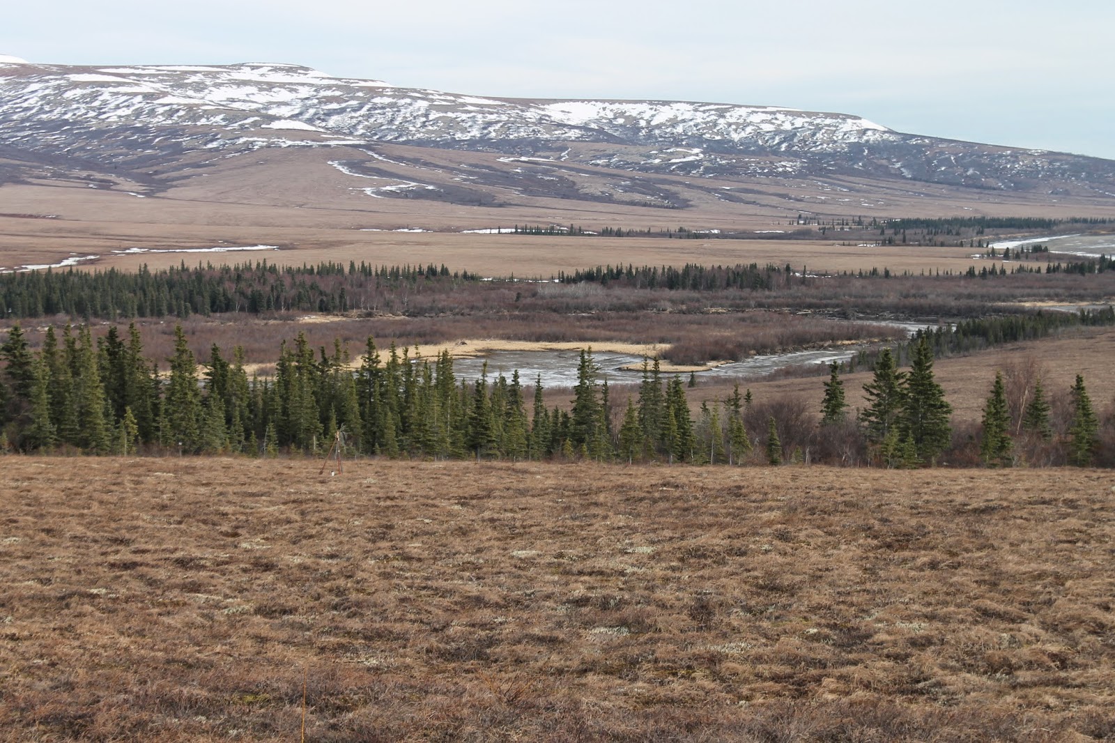 The Cunningham Family The BEST and WORST of life in rural Alaska