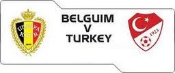 Belgia vs Turki EURO 2012