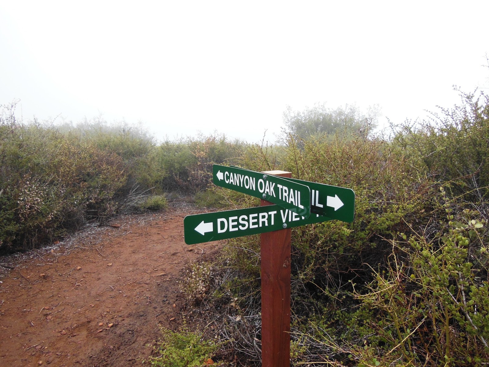 Brian And Ashley S Hiking Blog William Heise County Park Canyon