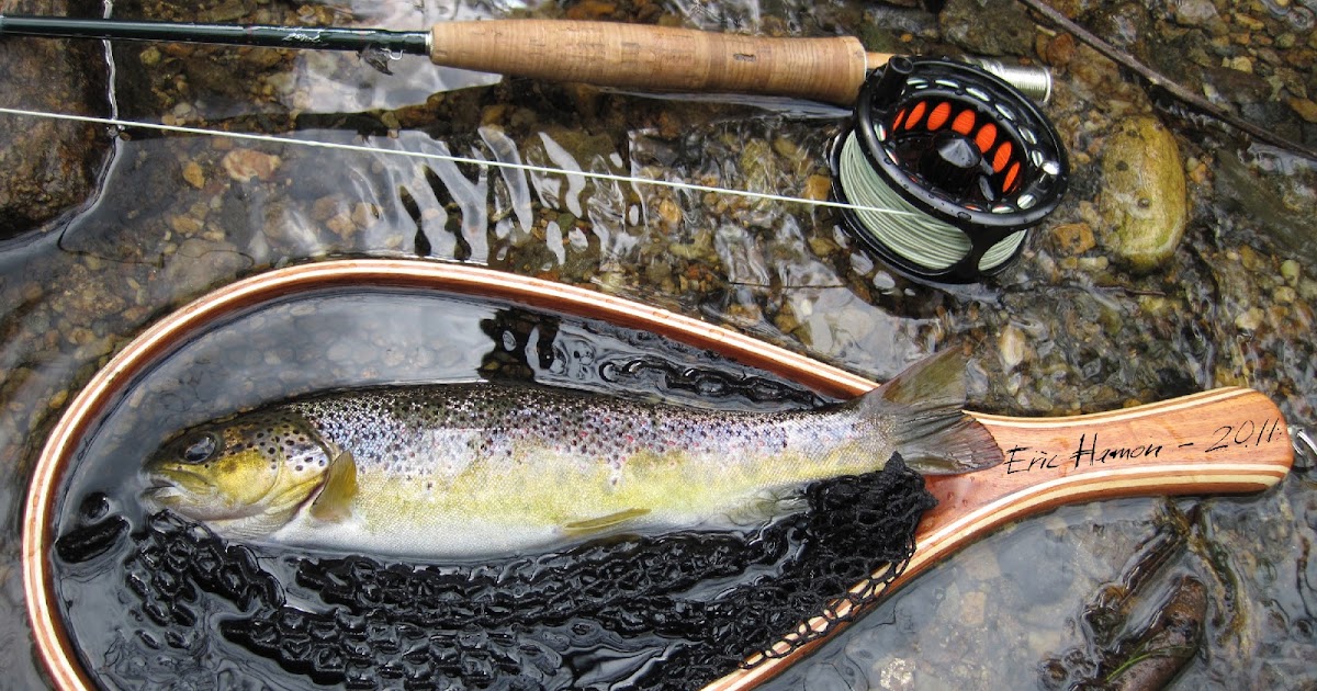 Du nord donets la rivière la pêche