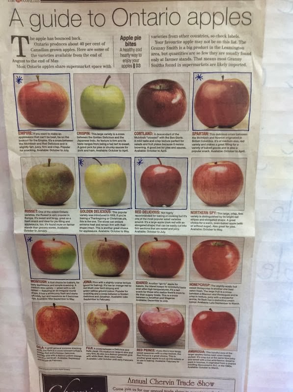 article of the week apples success Apple has many irons in the fire — and some of the latest are said to include an iphone se 2, a paid news subscription service, and big environmental projects for in-depth discussion of this week's hottest stories, listen to the appleinsider podcast subscribe here, or stream the embed below. article of the week apples success Apple has many irons in the fire — and some of the latest are said to include an iphone se 2, a paid news subscription service, and big environmental projects for in-depth discussion of this week's hottest stories, listen to the appleinsider podcast subscribe here, or stream the embed below.