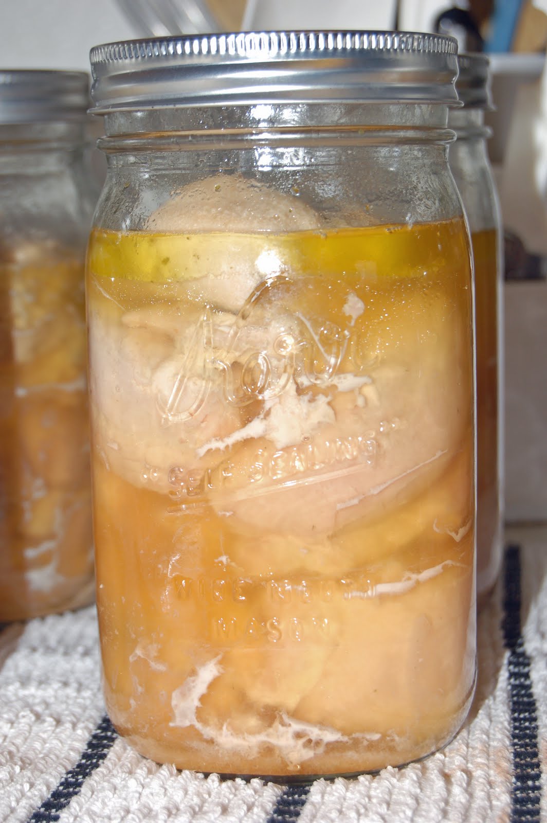 My Year Living On Food Storage Canning Chicken with Reuseable Canning