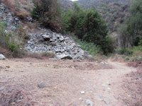 On Fish Canyon Trail, Angeles National Forest On Fish Canyon Trail, Angeles National Forest