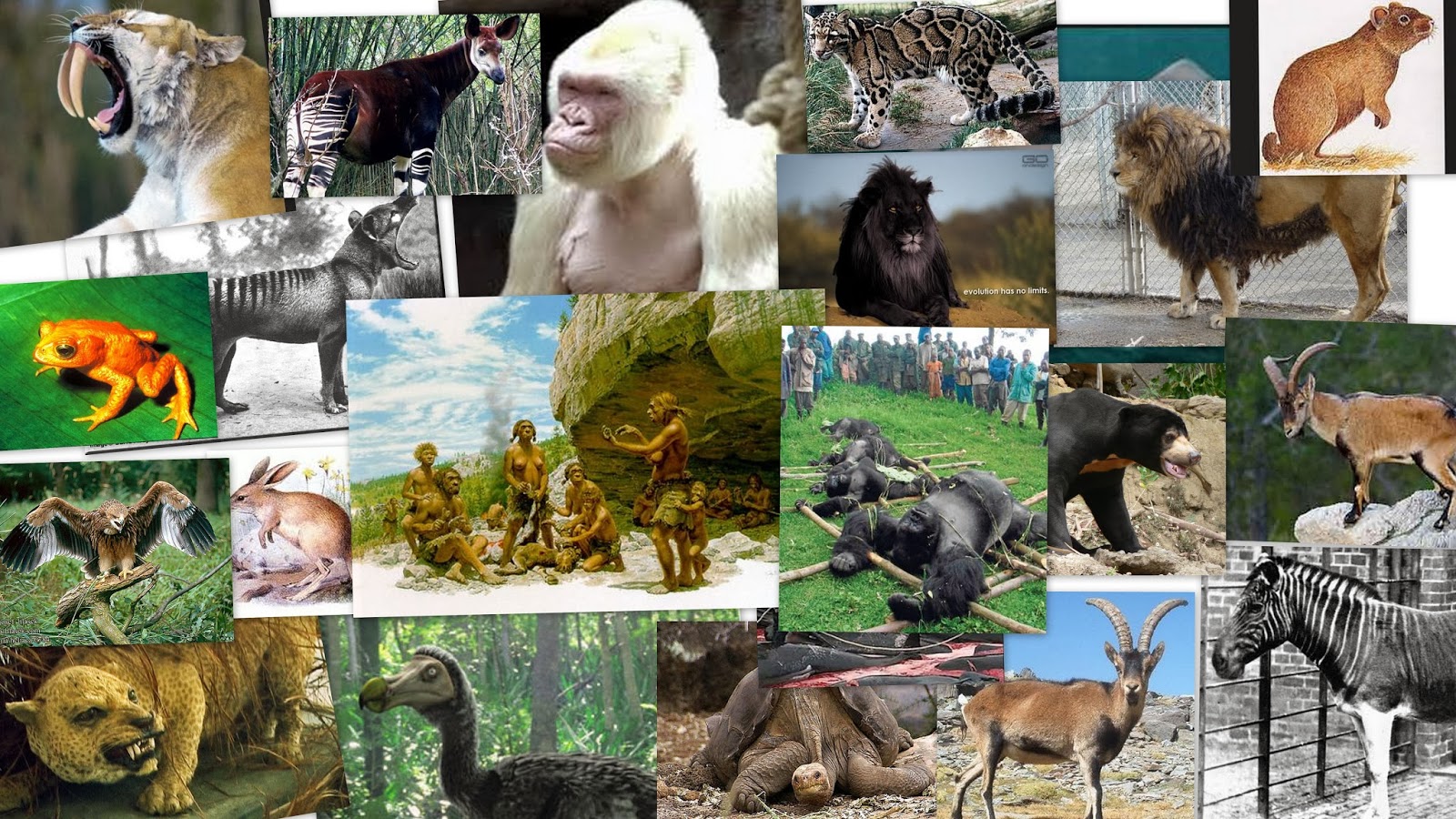 animales extintos INTRODUCCION