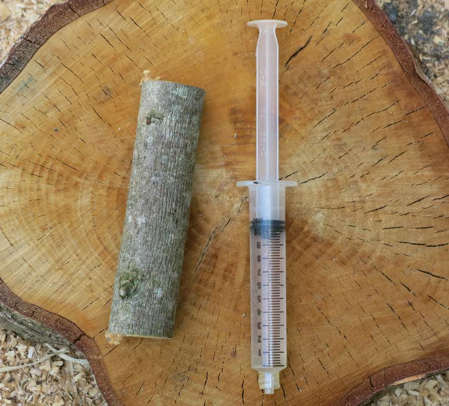 Sean Hellman Water in wood, drying wood