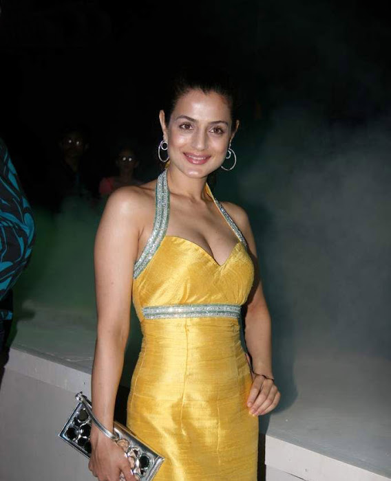 amisha patel actress pics