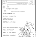 FLORZINHA FACEIRA - TEXTO E ATIVIDADES - 1º ANO