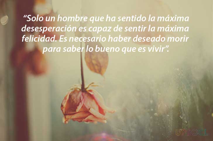 Escritura En El Alma Frases