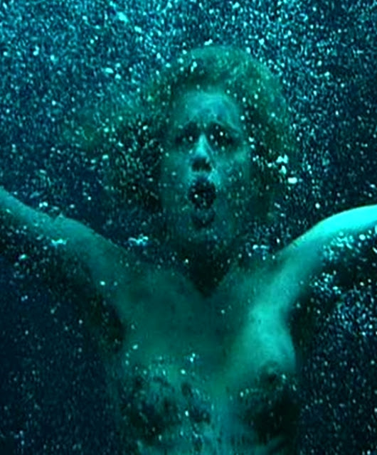 rebecca+romijn stamos+(14)