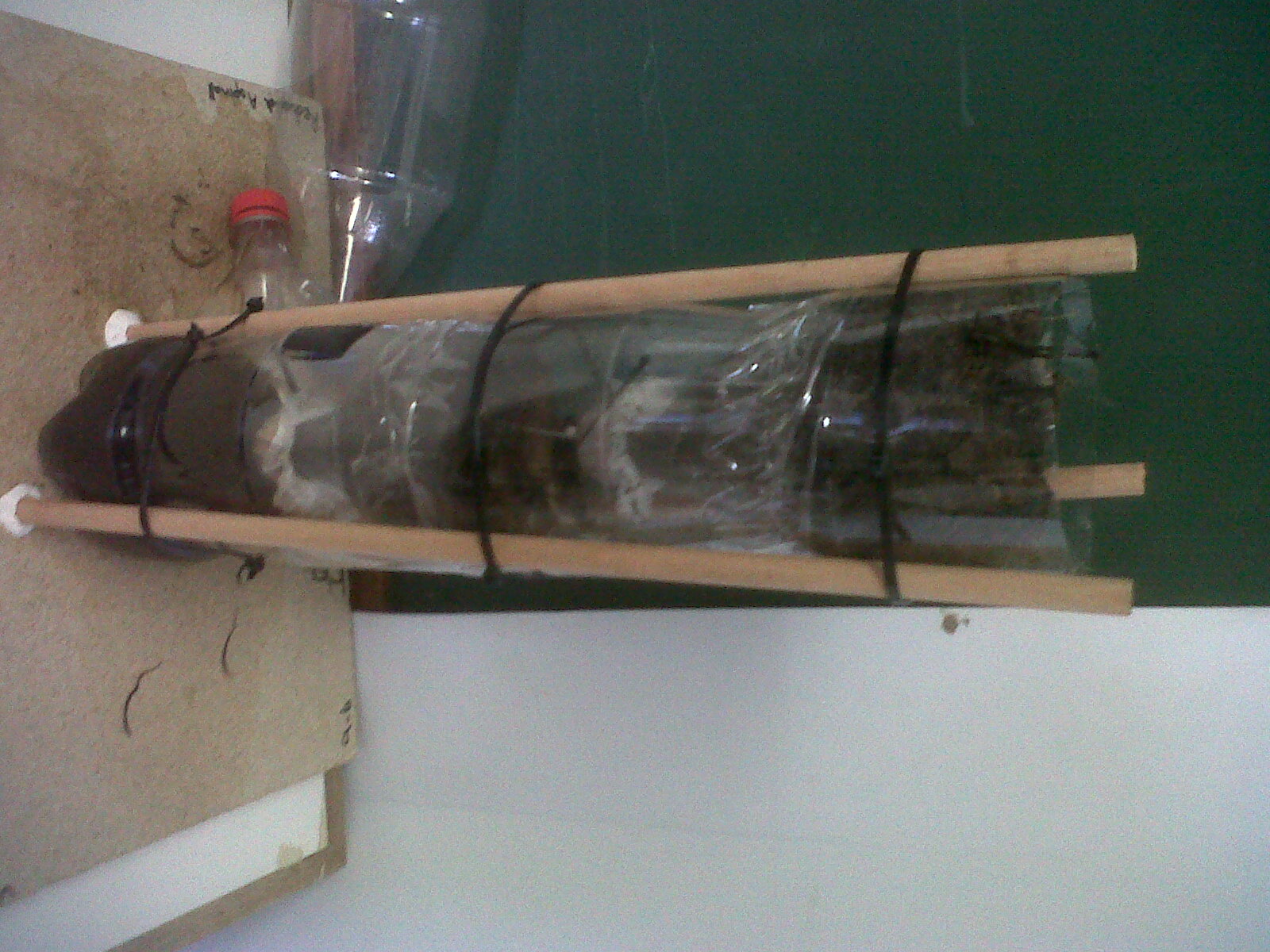 RDC Ecology Columns Changes in our EcoColumn Over 3 Weeks