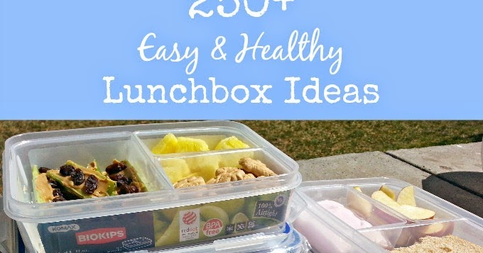Daycare Lunch Box Ideas – LAZY MOMMY GUIDE