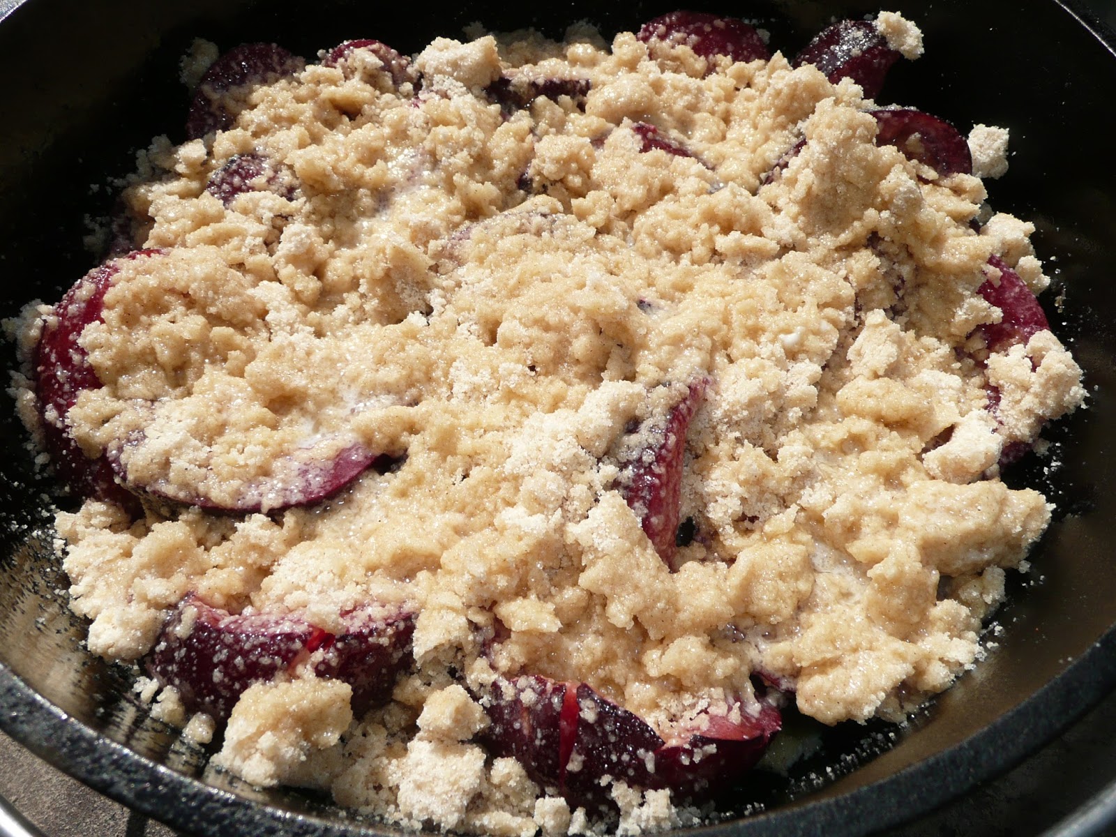 Everyday Dutch Oven Plum Crumble