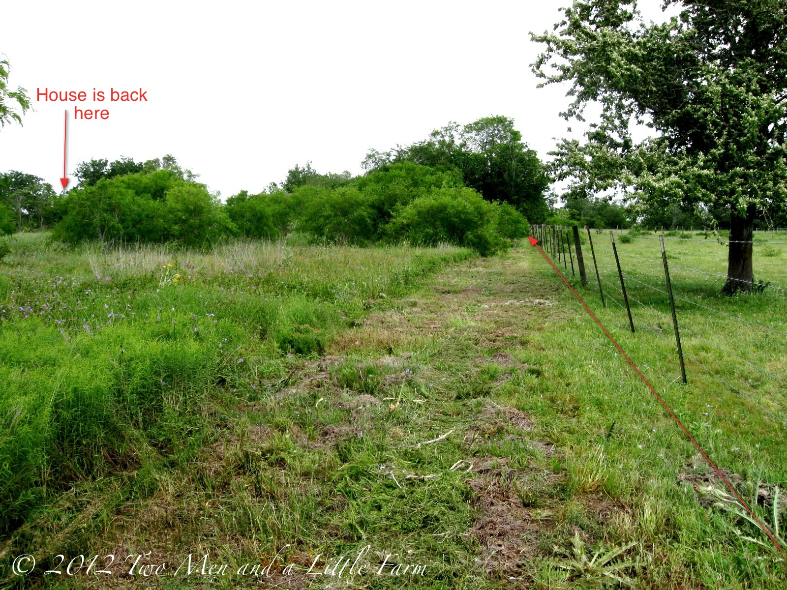 Two Men and a Little Farm CLEARING THE FENCE LINE