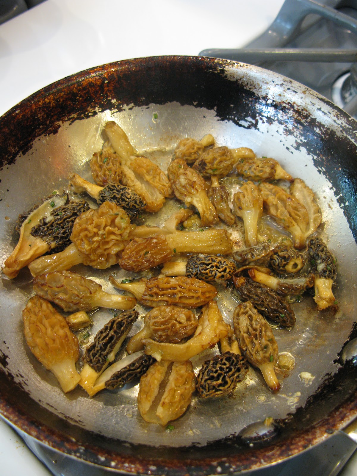 Cycle Jerk April Harvest Morels And Ramps