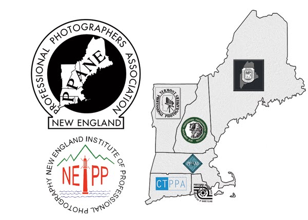 News and updates from the President of Professional Photographers Association of New England