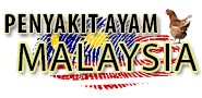 PENYAKIT AYAM DI MALAYSIA