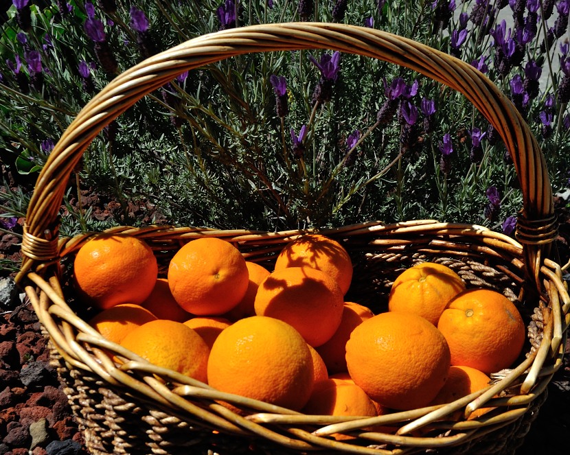 Orange and Lavender a culinary combo Byddi Lee