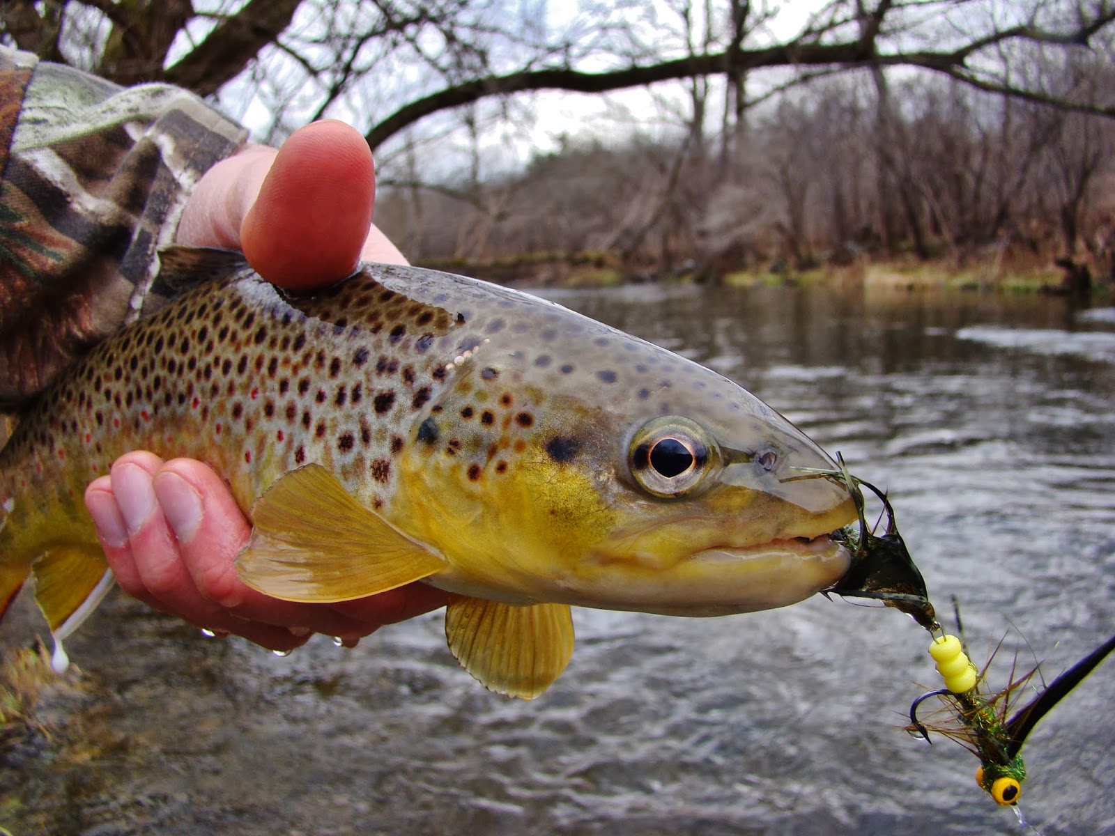 brianonthefly Articulated Streamer Pattern