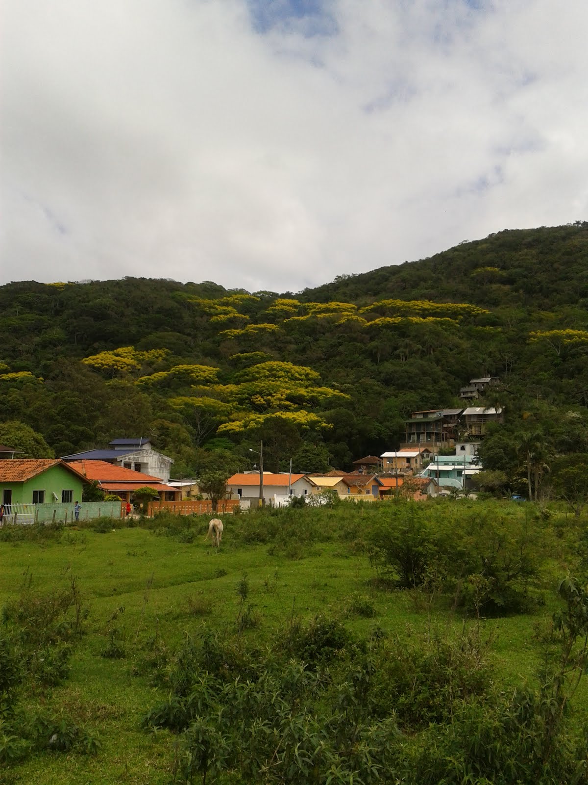 Foto Alexandre Gonçalves