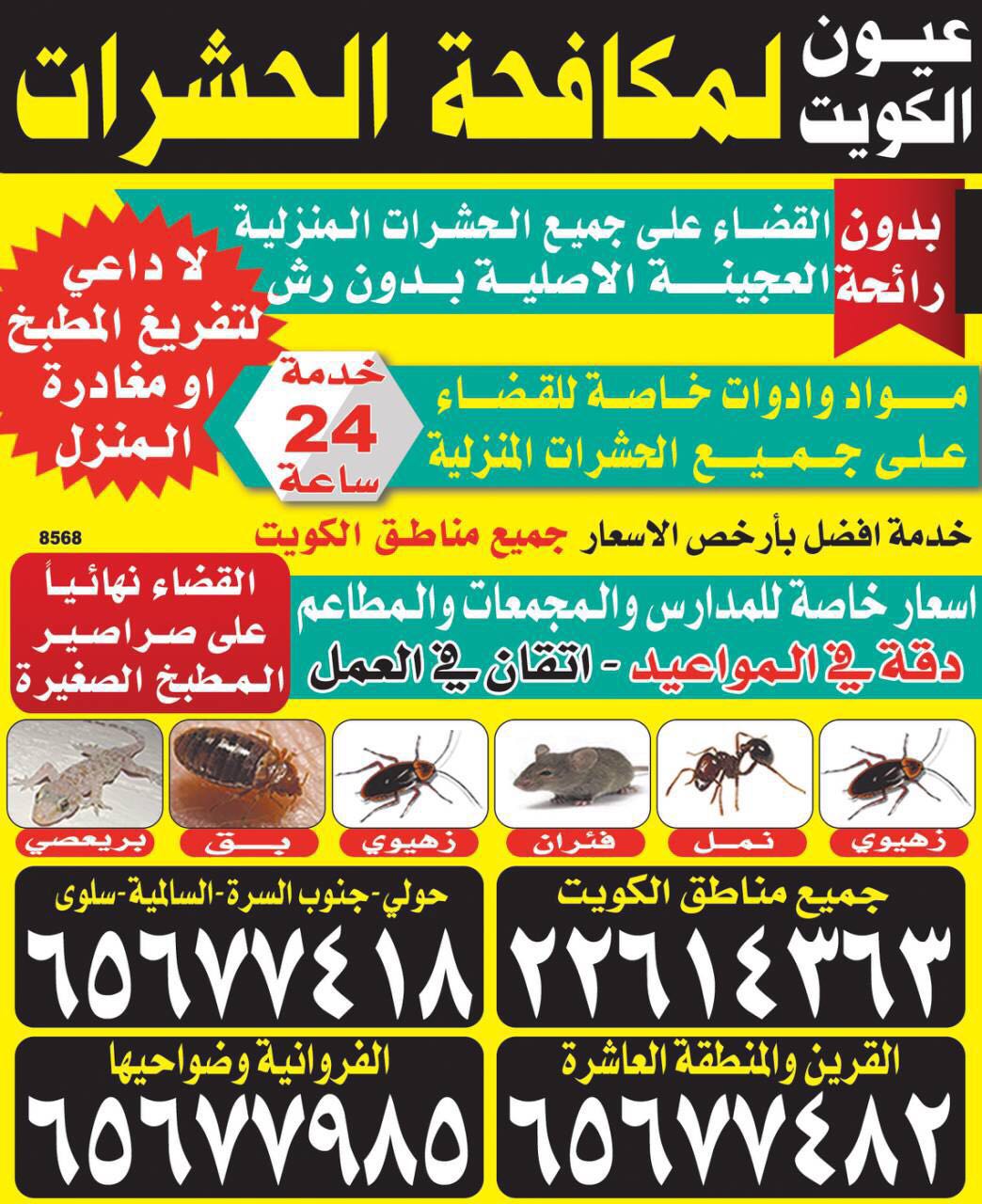شركة عيون الكويت لمكافحة الحشرات والقوارض 94166565