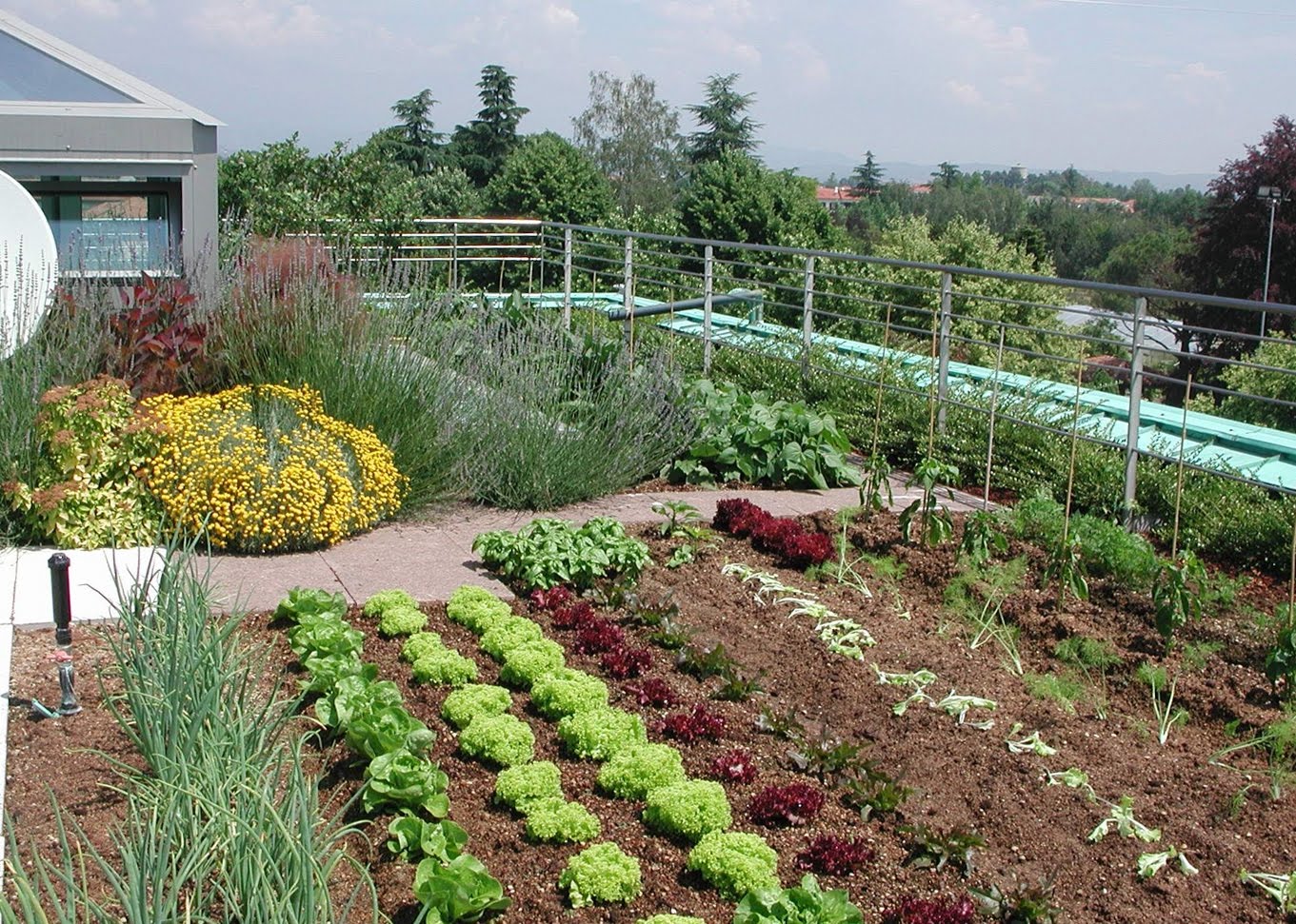 Metti un prato sul tetto! con un giardino pensile valorizzi la casa ... Come creare un giardino pensile sul terrazzo