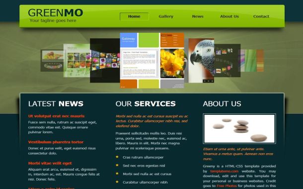 Free Green Nature Gallery Jquery Website Template Free Green Nature Gallery Jquery Website Template