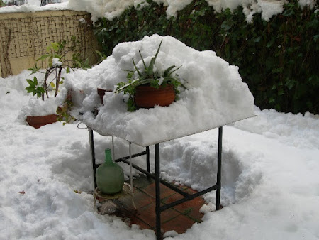 Nuestro patio tras la nevada de 2021