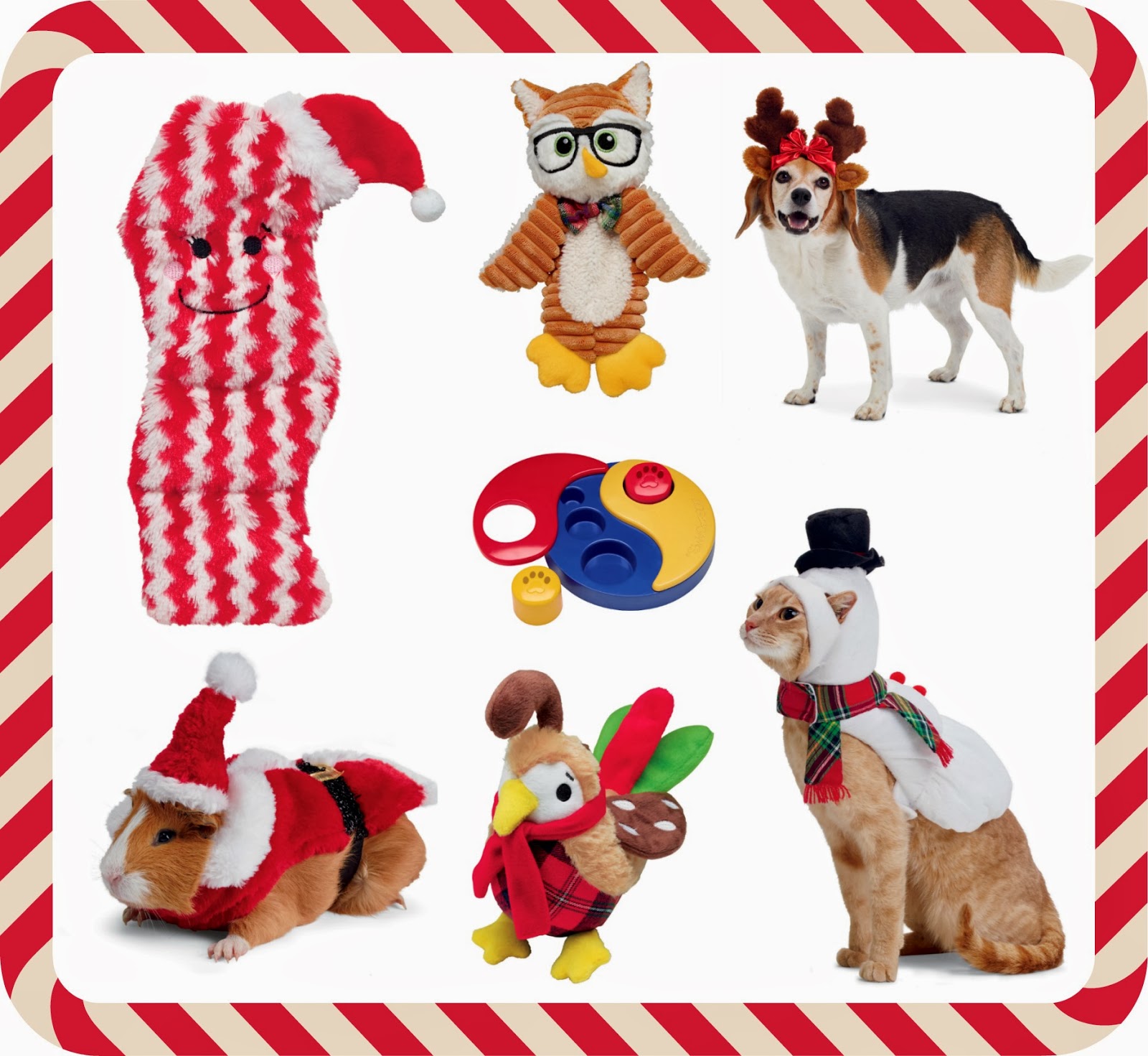To Dog With Love Holiday Gift Guide Giveaway Crazy about Petco!