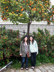 Emily & I under the orange trees that were everywhere