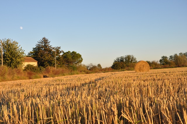 LA MIA CAMPAGNA