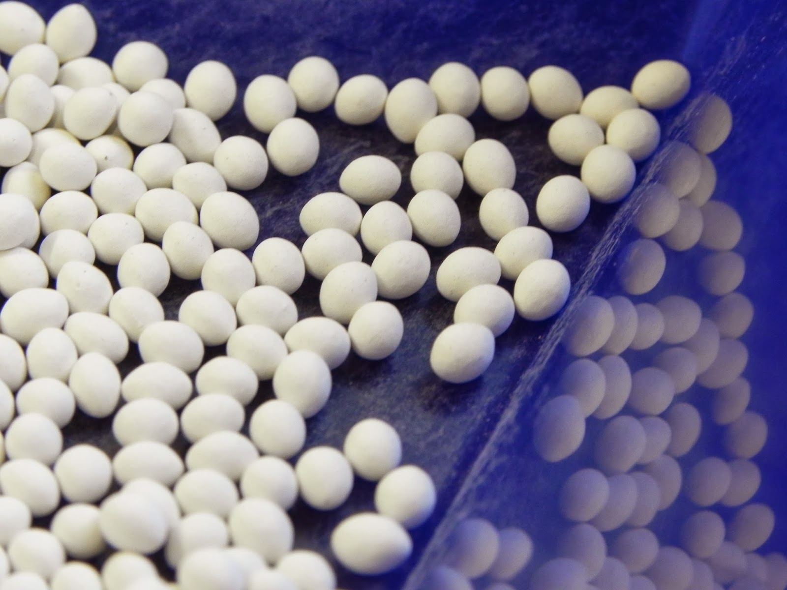 Osborne Seed Company Variety Trials How primed and pelleted seed can