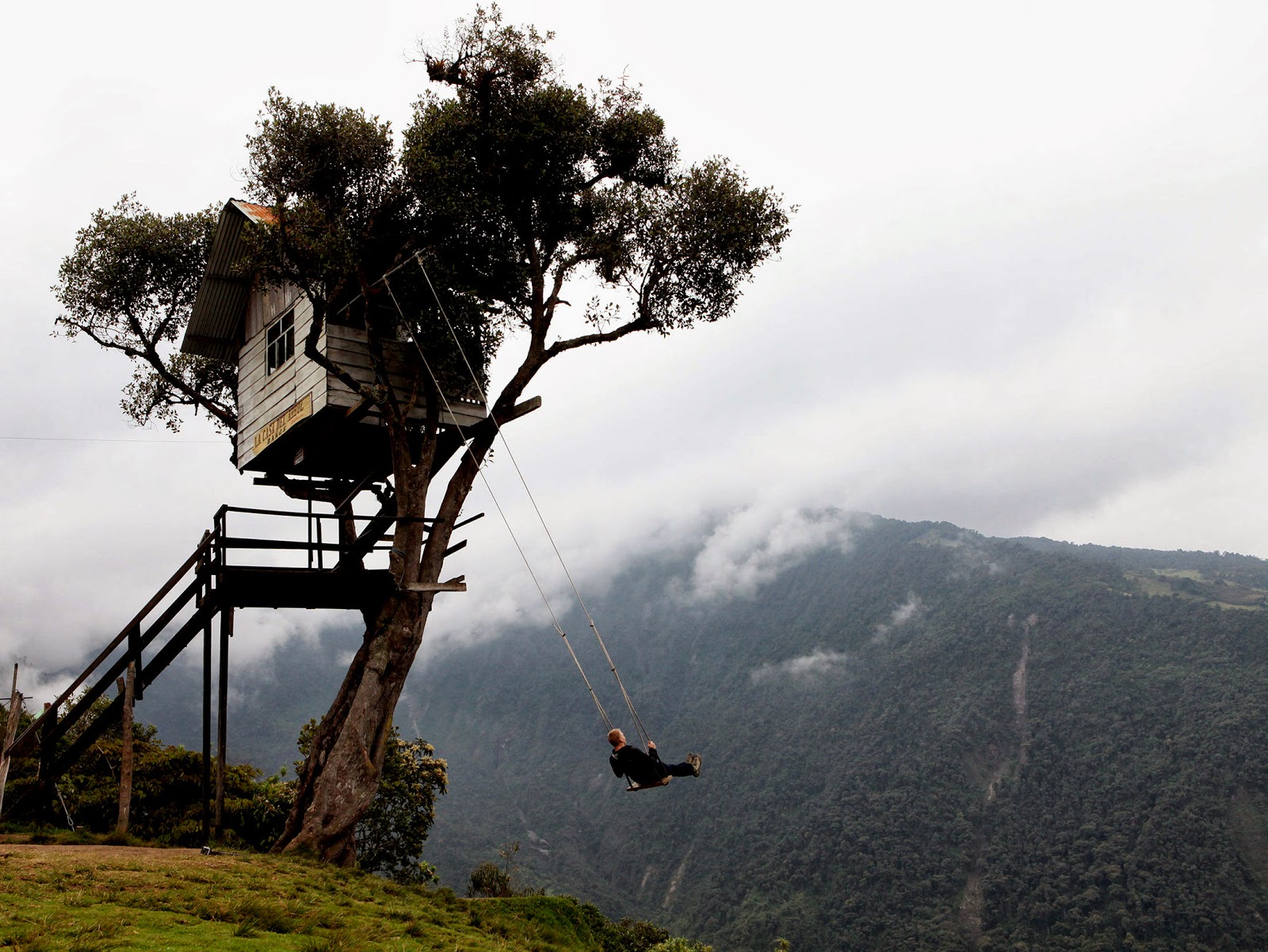 The Flying Tortoise This Crazy Swing At La Casa Del Arbol
