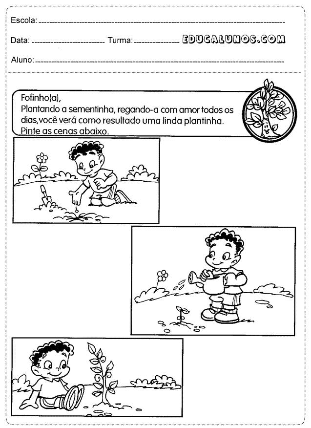 Plantando a sementinha, regando-a com amor todos os dias você verá resultado