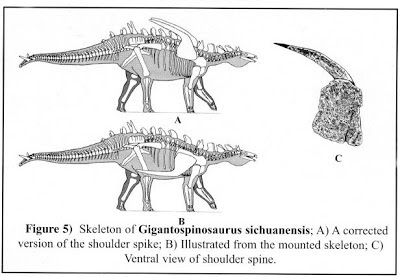 Gigantspinosaurus Skeleton
