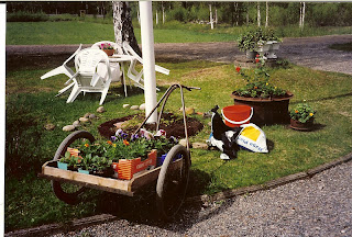 Svanå trädgård: hur det hela började...