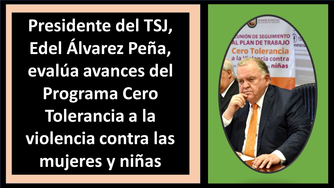 Presidente del TSJ