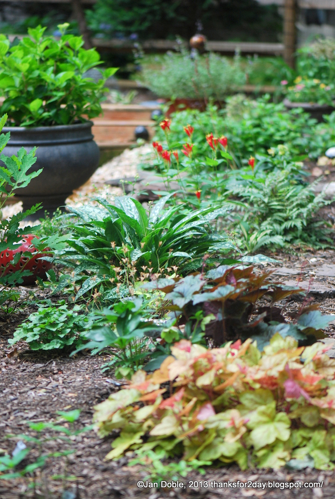 Thanks for today. MidJune Blooms