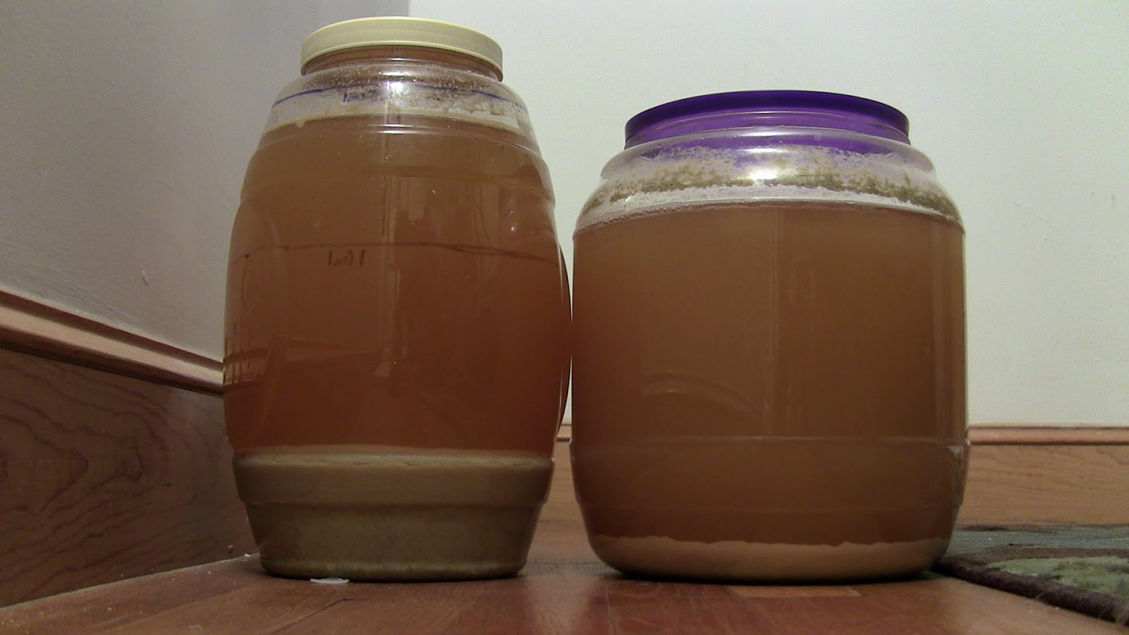 Woodland Brewing Research Extract vs All Grain