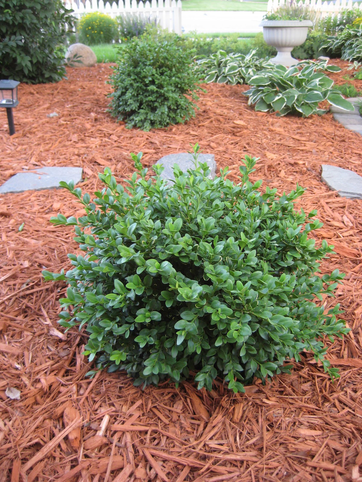 Happy At Home: Completed Front Yard Garden
