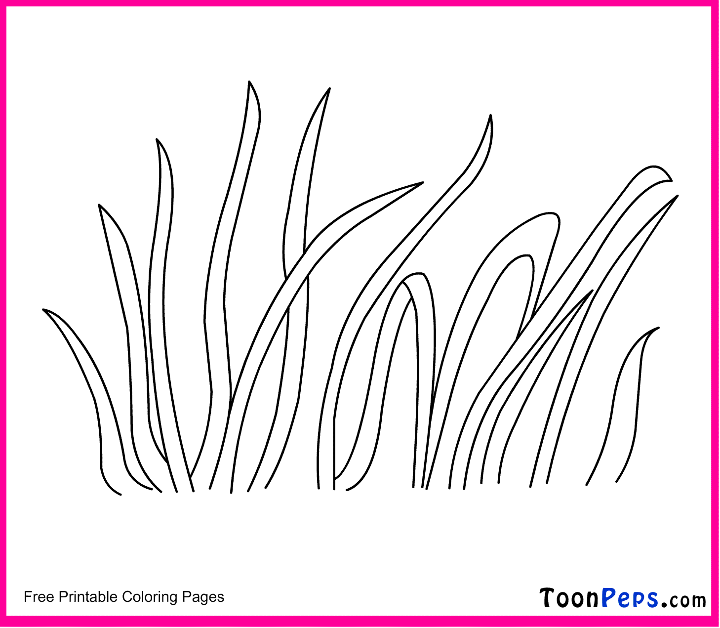 Grass - Free Colouring Pages
